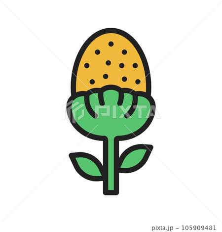 Pineappleweed Icon Image. Pineappleweed Icon Image. 105909481