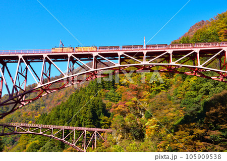 秋 黒部峡谷鉄道 新山彦橋 秋 黒部峡谷鉄道 新山彦橋 105909538