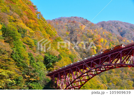 秋 黒部峡谷鉄道 新山彦橋 秋 黒部峡谷鉄道 新山彦橋 105909639