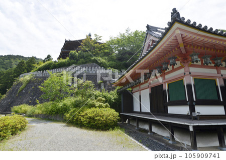 壺阪寺　八角円堂と灌頂堂　奈良県高取町壺阪 105909741