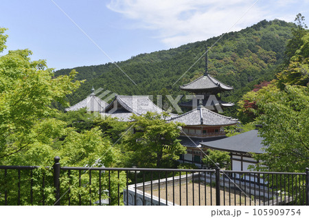 壺阪寺　伽藍　奈良県高取町壺阪 105909754