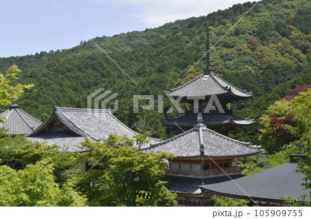 壺阪寺 伽藍 奈良県高取町壺阪 壺阪寺 伽藍 奈良県高取町壺阪 105909755