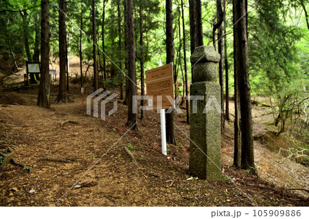 七町石(勝尾寺旧参道) 【大阪府箕面市】 七町石(勝尾寺旧参道) 【大阪府箕面市】 105909886