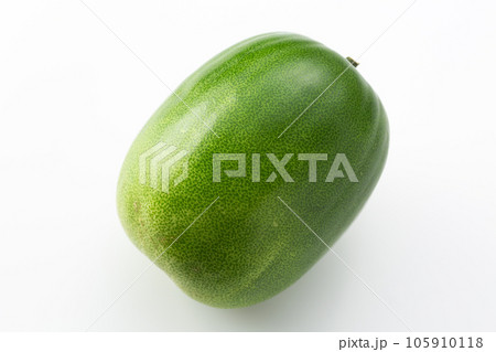 冬瓜 105910118