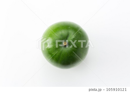 冬瓜 105910121