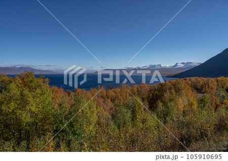 Autumn season in Abisko with Lake Tornetraesk in background, taken from Bjoerkliden, Swedish Lapland, Sweden 105910695
