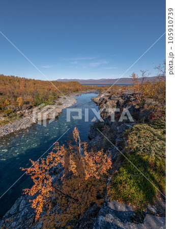 Autum Abisko Canyon River Abiskojakka National Park, Norrbottens, Norrbottens Lapland landscape north of Sweden Autum Abisko Canyon River Abiskojakka National Park, Norrbottens, Norrbottens Lapland landscape north of Sweden 105910739