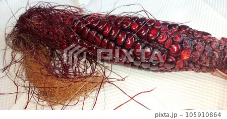 赤いグラスジェムコーン 105910864