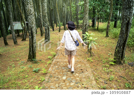 Rear view of an Asian woman walking around in the forest 105910887