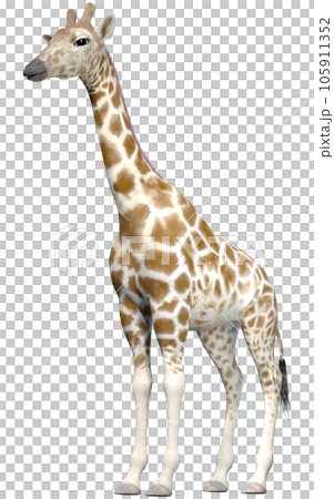 キリン☆Giraffe 105911352