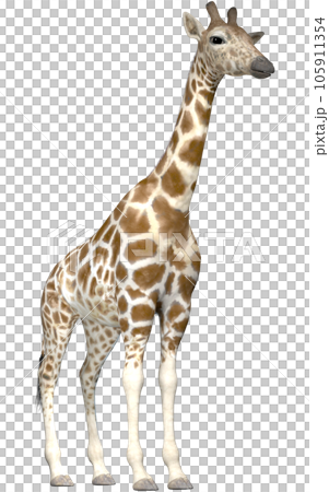 キリン☆Giraffe 105911354