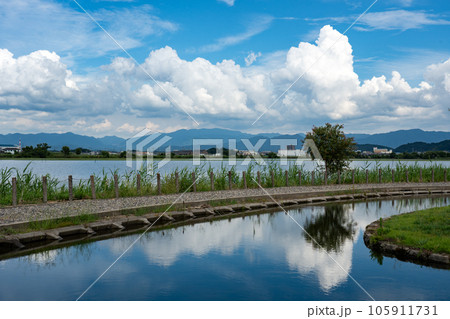 伊庭内湖の水辺と真夏の空の情景 105911731