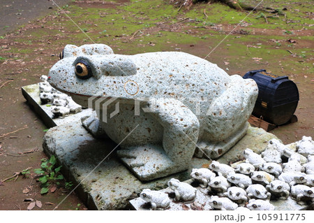 Buji Kaeru (return home safely) statue of a frog (kaeru) in Minori no Mori in Utsunomiya, Tochigi Japan, made from Oyaishi (Oya stone) from the quarries of Utsunomiya. Buji Kaeru (return home safely) statue of a frog (kaeru) in Minori no Mori in Utsunomiya, Tochigi Japan, made from Oyaishi (Oya stone) from the quarries of Utsunomiya. 105911775