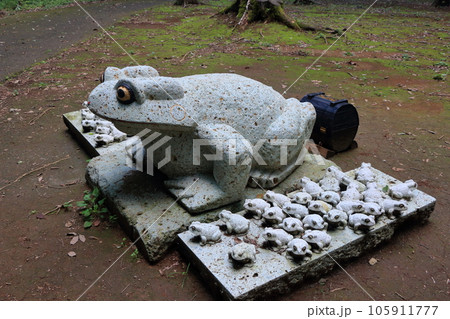 Buji Kaeru (return home safely) statue of a frog (kaeru) in Minori no Mori in Utsunomiya, Tochigi Japan, made from Oyaishi (Oya stone) from the quarries of Utsunomiya. 105911777