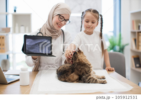 Cat on vet visit at clinic with owner and doctor with CTs Cat on vet visit at clinic with owner and doctor with CTs 105912531