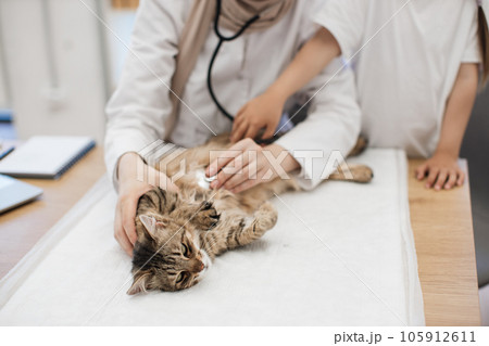 Vet doctor putting stethoscope on cat's belly near tween kid 105912611
