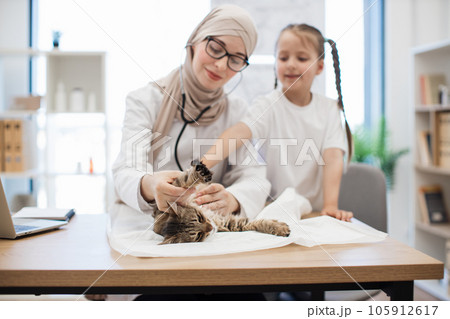 Animal doctor performing chest exam of cat with help of kid 105912617