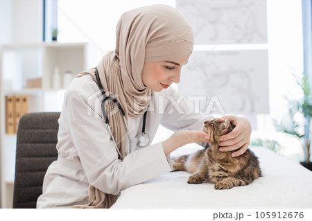Feline practitioner inspecting cat's ears on vet check-up Feline practitioner inspecting cat's ears on vet check-up 105912676