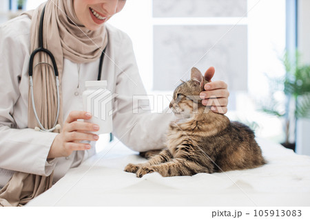 Cat recoiling from container with tablets in vet's hand 105913083