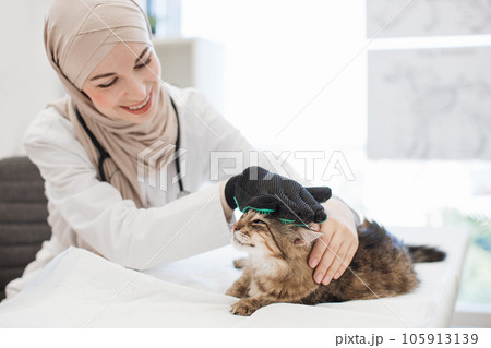 Muslim vet using deshedding glove with cat in exam room 105913139