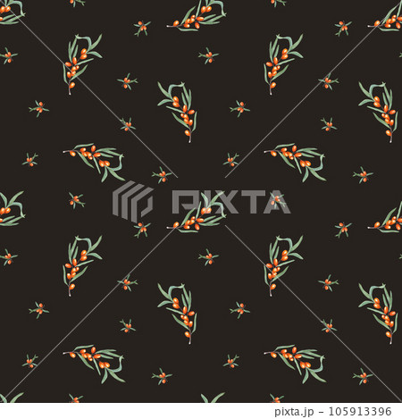 Ornate of Sea Buckthorn branch isolated on black background. Watercolor seamless pattern of orange berries, green leaves. Botanical illustration for textile design, room decor, print, postcards Ornate of Sea Buckthorn branch isolated on black background. Watercolor seamless pattern of orange berries, green leaves. Botanical illustration for textile design, room decor, print, postcards 105913396