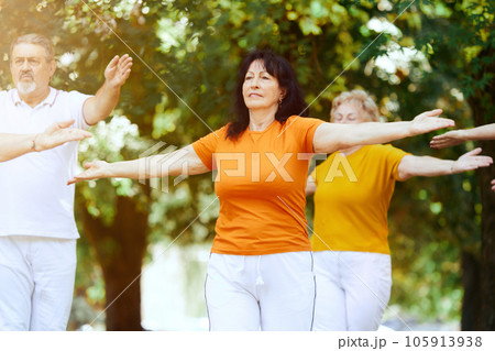 Group of elderly people, man and women training together outdoors on warm summer morning, doing exercises 105913938