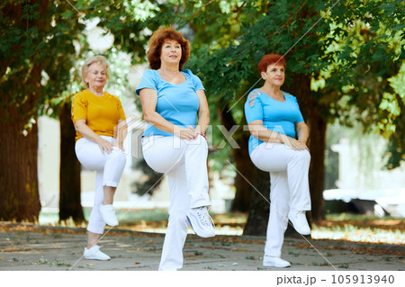 Senior woman training together in park on early sunny morning, doing workout, cardio exercises 105913940