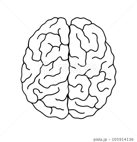 Brain line icon isolated on white background. Outline vector illustration. Brain line icon isolated on white background. Outline vector illustration. 105914136