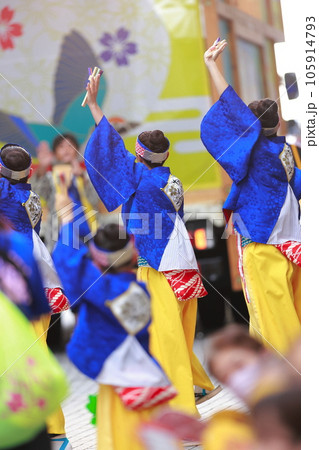 夏を彩るよさこい祭り 夏を彩るよさこい祭り 105914793