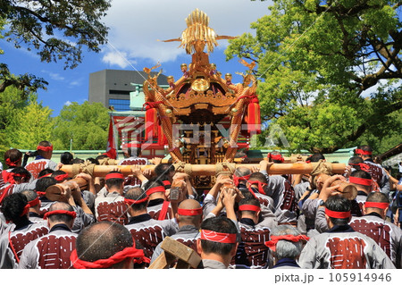 富岡八幡宮のお神輿　江戸三大祭り　水かけ祭り 105914946
