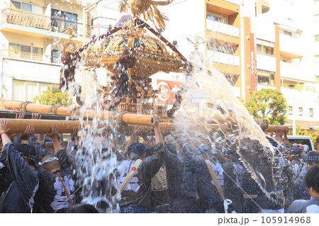 富岡八幡宮のお神輿　江戸三大祭り　水かけ祭り 105914968