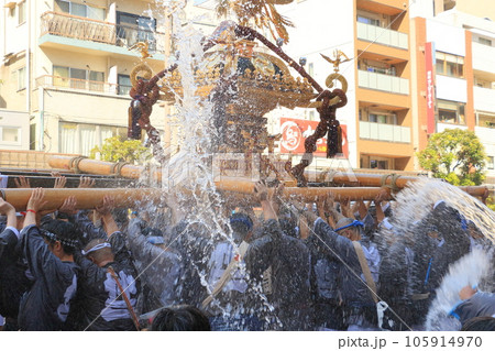富岡八幡宮のお神輿　江戸三大祭り　水かけ祭り 105914970