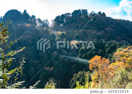【日本100名城】備中松山城古城　大松山と吊橋と紅葉2　岡山県高梁市 105915014