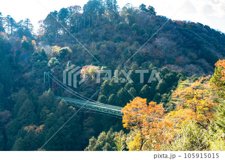 【日本100名城】備中松山城古城　大松山と吊橋と紅葉3　岡山県高梁市 105915015