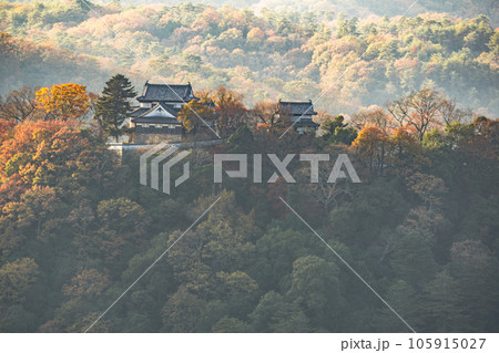 【日本100名城】備中松山城　晩秋の紅葉に囲まれた城5　岡山県高梁市 105915027