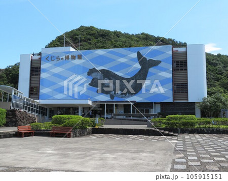 巨大なクジラの壁画 和歌山県 太地町立くじらの博物館 105915151