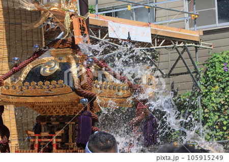富岡八幡宮のお神輿 江戸三大祭り 水かけ祭り 富岡八幡宮のお神輿 江戸三大祭り 水かけ祭り 105915249
