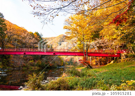 宇甘渓 紅葉の宇甘川と赤橋1 岡山県加賀郡吉備中央町 宇甘渓 紅葉の宇甘川と赤橋1 岡山県加賀郡吉備中央町 105915281