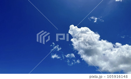 ワンちゃんの姿に似た雲【雲のカタチが犬】 105916148