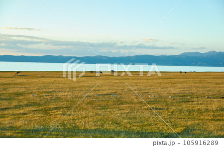 Son Kul mountain lake Son Kul mountain lake 105916289