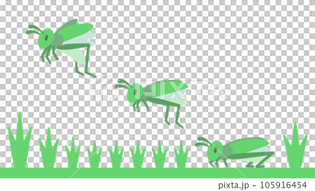 Illustration of a grasshopper jumping in the grass 105916454