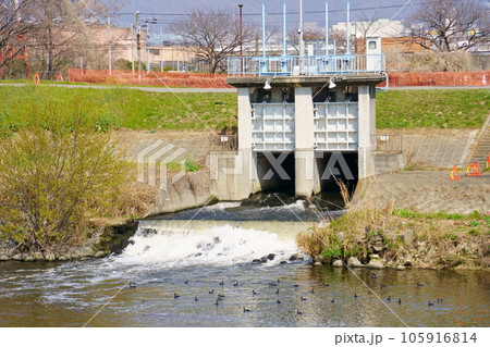 河川に放流される下水処理水 105916814