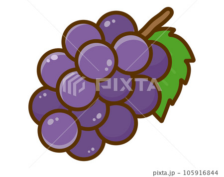 シンプルなブドウのイラストのイラスト素材 [105916844] - PIXTA