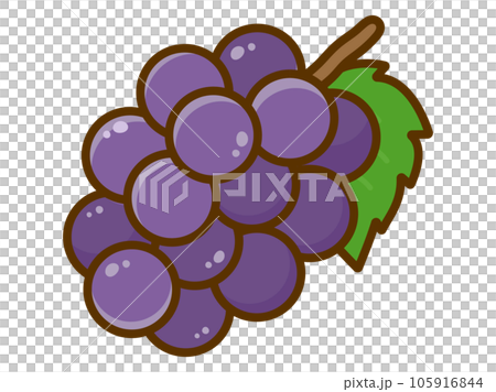 シンプルなブドウのイラストのイラスト素材 [105916844] - PIXTA
