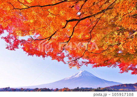 秋の青空と紅葉　そして富士山 105917108