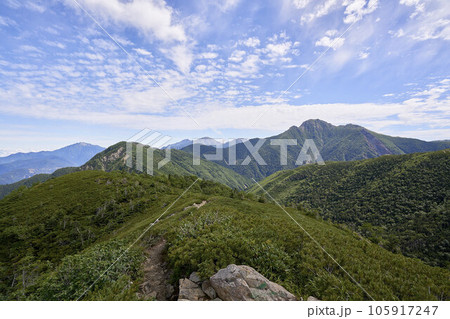 三伏山山頂から見た塩見岳 105917247