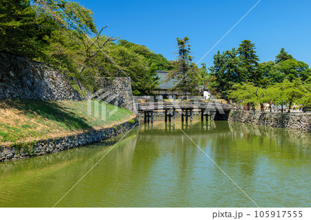 夏の彦根城の内堀と表門橋 滋賀県彦根市 夏の彦根城の内堀と表門橋 滋賀県彦根市 105917555