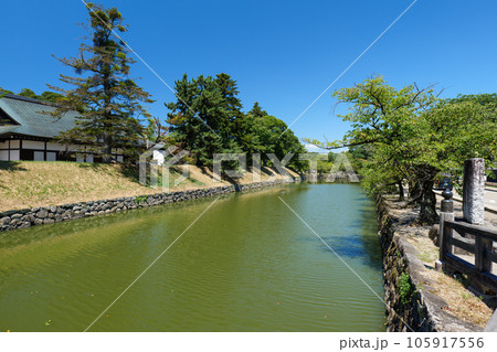 夏の彦根城の内堀　滋賀県彦根市 105917556