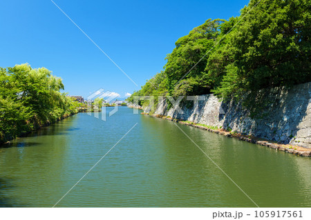 夏の彦根城外堀 滋賀県彦根市 夏の彦根城外堀 滋賀県彦根市 105917561