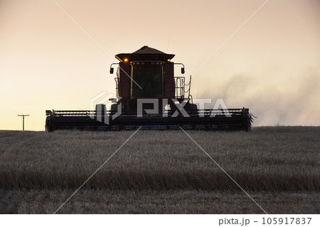 Harvester machine, harvesting in the Argentine countryside, Buenos Aires province, Argentina. Harvester machine, harvesting in the Argentine countryside, Buenos Aires province, Argentina. 105917837